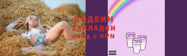 прущие грибы Протвино